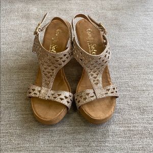 Comfy Soles Wedge sandals